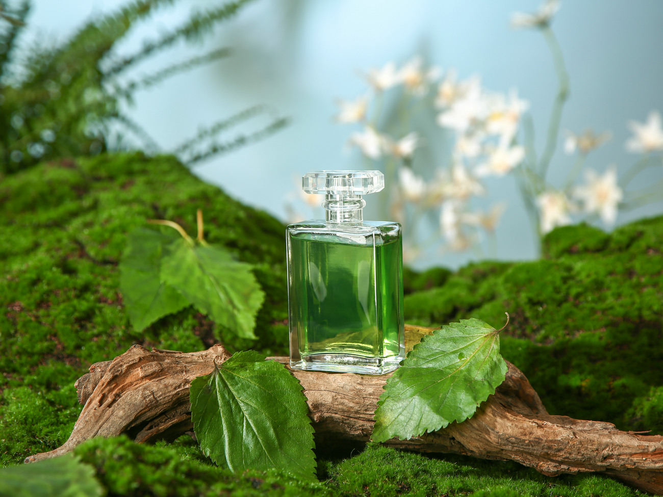 CHLOROPHYLLyll